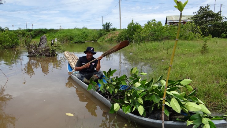 © Jenelle Eli   American Red Cross A Red Cross volunteer steers  his canoe full of mangrove  saplings in preparation  for planting in Aceh Jaya,  Indonesia . 