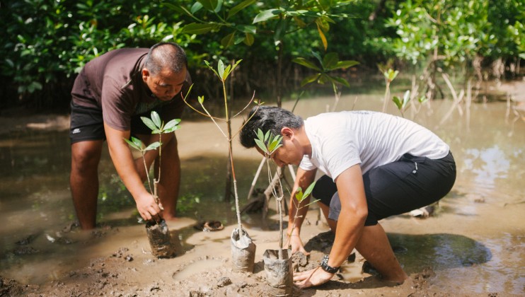© Mazidi Abd Ghani   WWF A group of youth from Kampung  Taritipan in the district of Kota  Marudu, Malaysia, take the  initiative to protect mangrove  forest around their village .